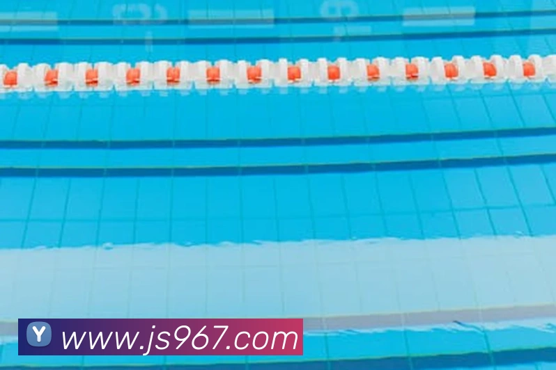 澳门金沙国际平台生态图